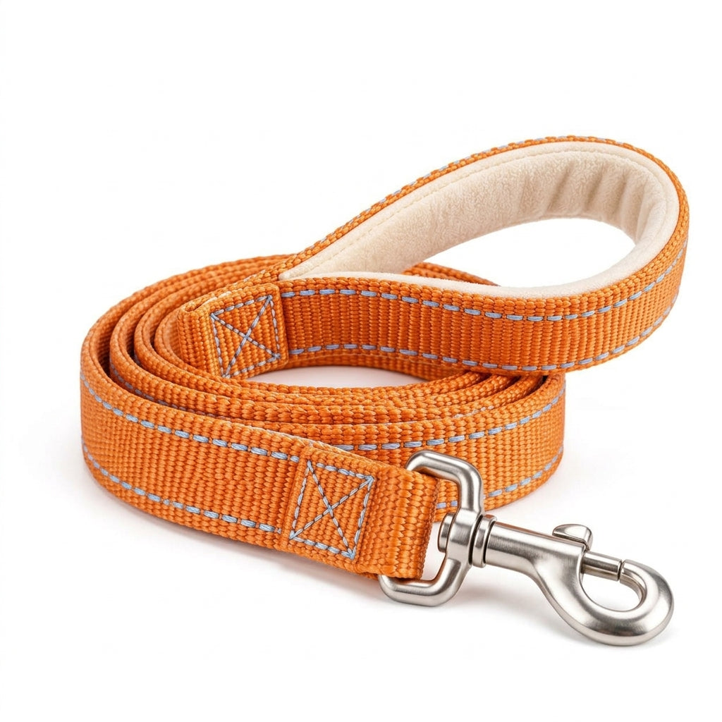 Caremirth Padded Handle Dog Leash